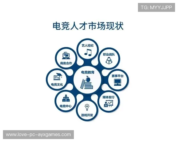 运动员经纪服务上链探索,权益流通更透明 运动员经纪服务上链探索,权益流通更透明